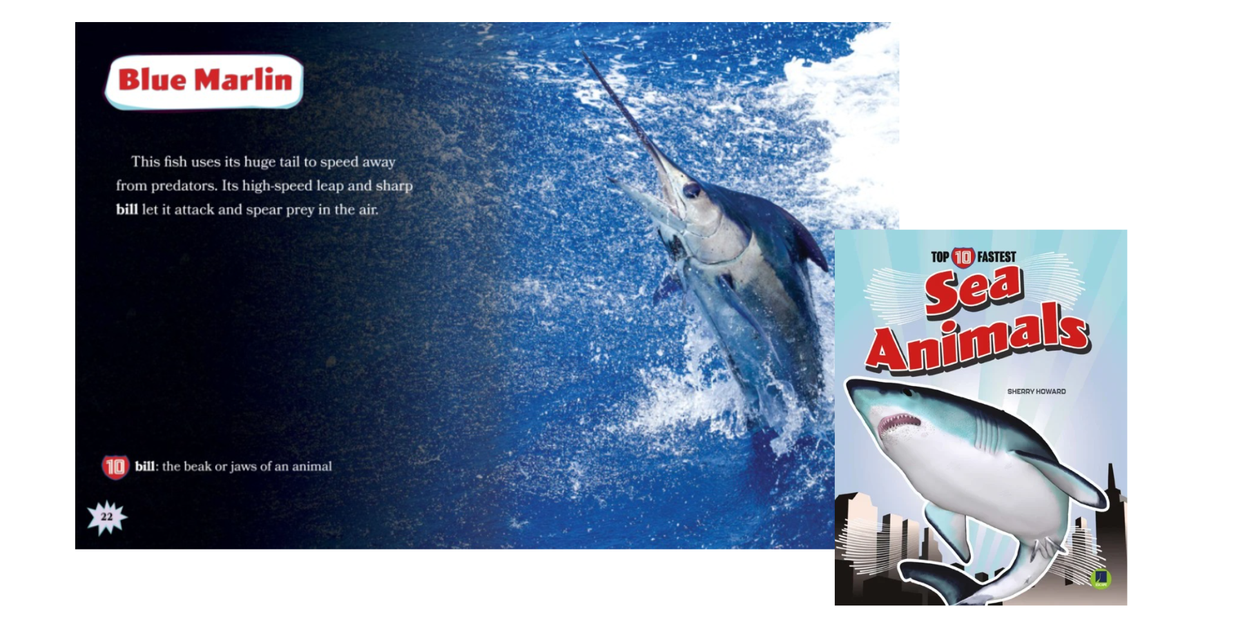 Ocean books for kids - Top 10 Fastest Sea Animals