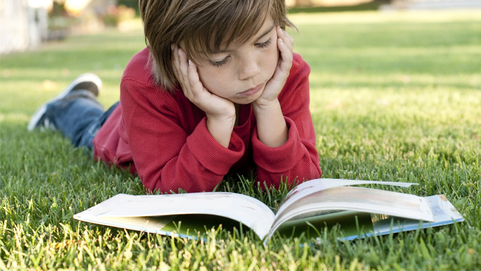 help children maintain their reading skills with a summer reading programme